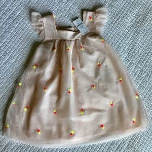 Gap Baby Girl Light Pink Tulle Dress